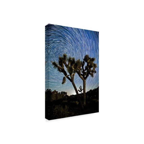 American School 'Joshua Tree Star Trails' Canvas Art,16x24